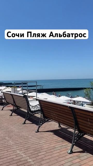 Сочи пляж Альбатрос 27.06.24 смотреть онлайн