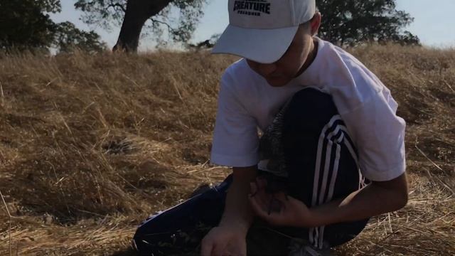 Desert Tarantula- Surprisingly Friendly? смотреть онлайн