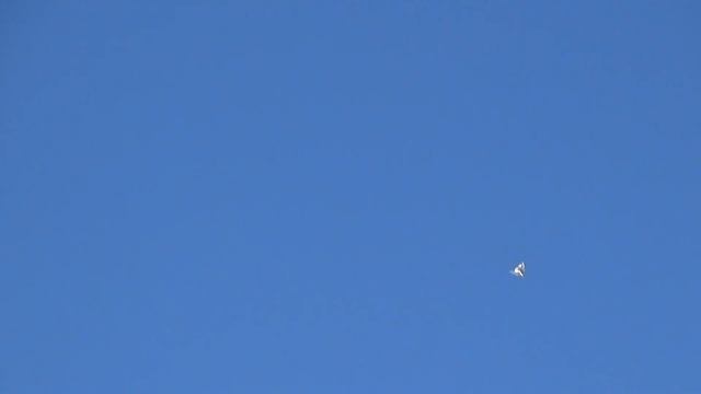 00005 смотреть онлайн