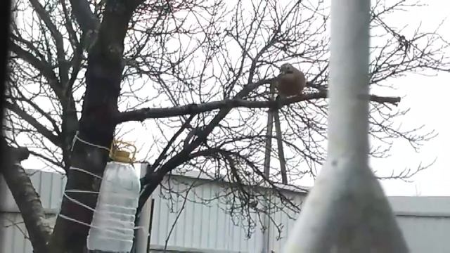 КТО ОНА МОЯ ГОСТЬЯ? ОНА ОКАЗАЛАСЬ... смотреть онлайн