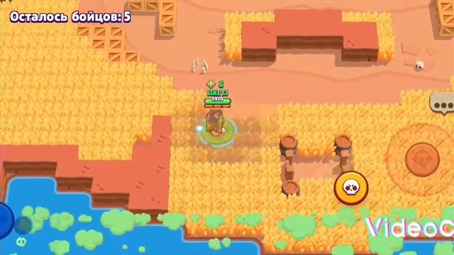 играю с гриф на bravl stars смотреть онлайн