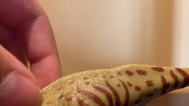 “Good figure, Bad pose” CollectA 2018 mantellisaurus review смотреть онлайн