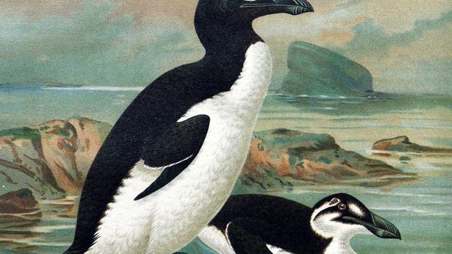 How The US Intentionally Exterminated the American Bison смотреть онлайн