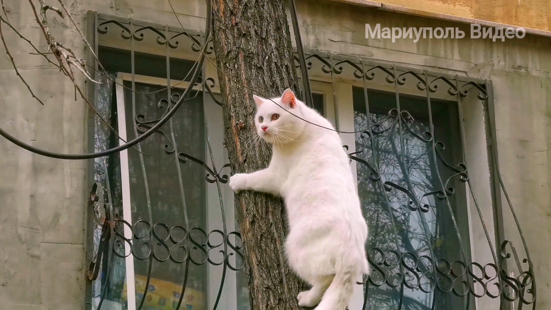 МАРИУПОЛЬ как начиналось Восстановление города 🏰Ремонт 2022 смотреть онлайн