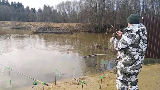 РК Марлин.Форель активна смотреть онлайн