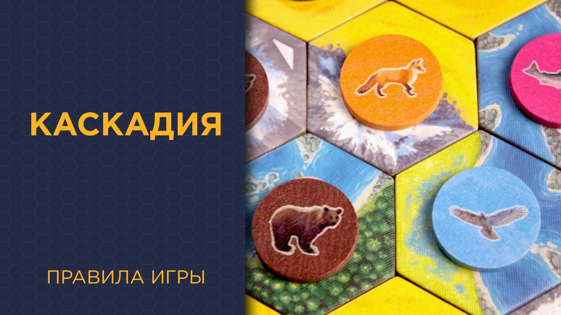 Каскадия (Cascadia) — Правила игры смотреть онлайн