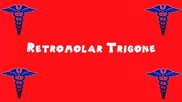 Pronounce Medical Words ― Retromolar Trigone смотреть онлайн