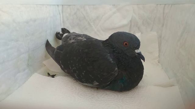 После завтрака😊 смотреть онлайн