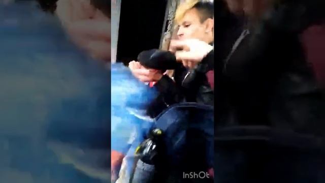 Ручной Голубь Петя ) смотреть онлайн