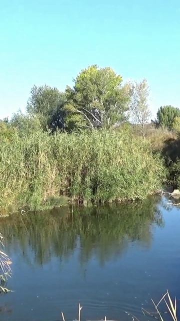 Две РЕДКИЕ Петарды Средней Мощности в СТОЧНЫХ Водах смотреть онлайн