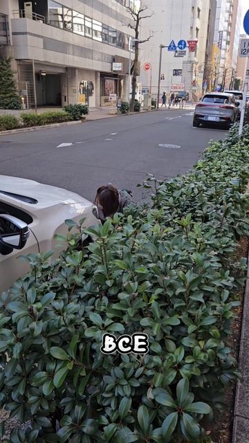 Продаю машину из-за ТО, Часть 2 смотреть онлайн