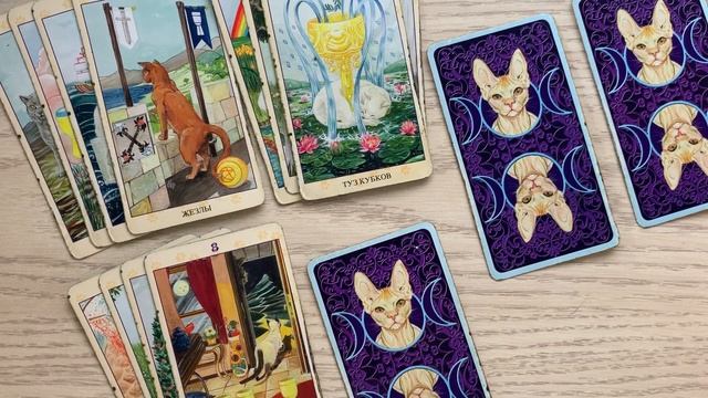 Стрелец 🧞♂️ Ноябрь 2022 Отношения Деньги Здоровье Таро Прогноз Tarot смотреть онлайн