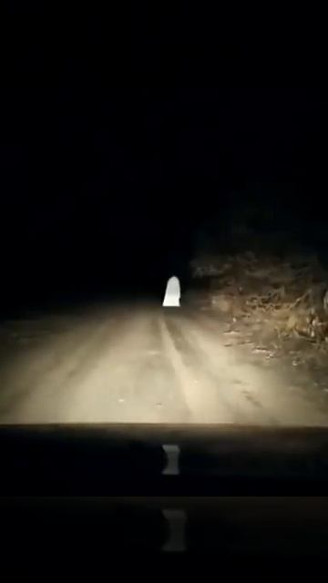 Ужасный призрак на дороге смотреть онлайн