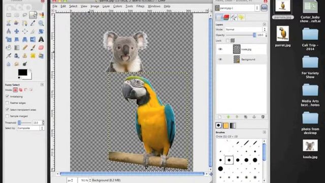 Animal Clone in Gimp смотреть онлайн