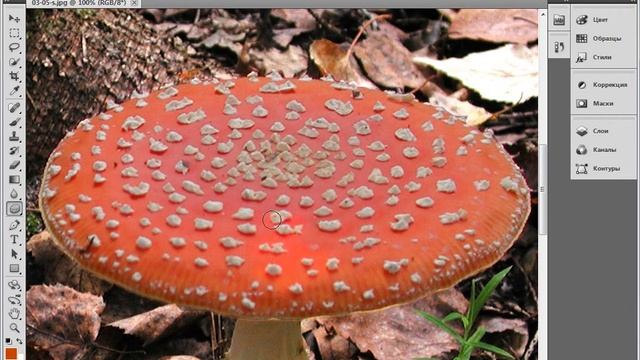 Инструмент Губка  Выборочное увеличение насыщенности в Фотошоп