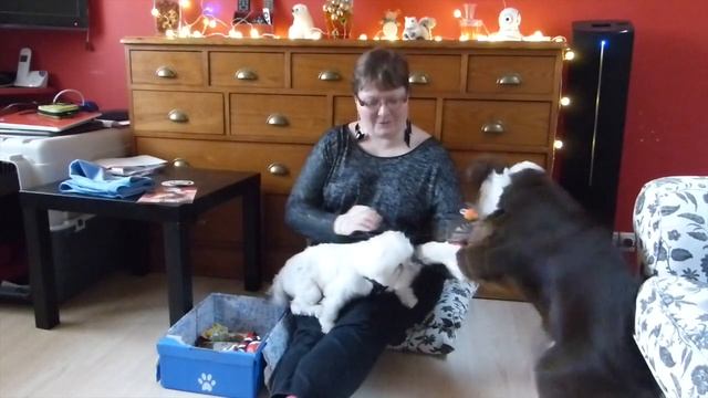 Woufbox de décembre 2015 par Laska (et Dixie) [unboxing] #28 смотреть онлайн