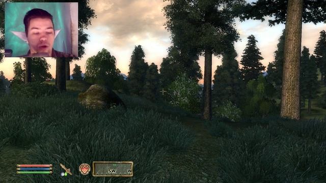 The Elder Scrolls IV:Oblivion №146 Встретил Святилище Клавикуса Вайла смотреть онлайн