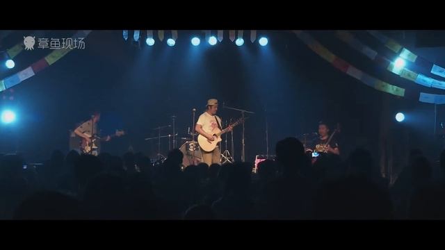 Octolive | 祖鲁乐队《雄鹰》 ZUUL "Tercel" смотреть онлайн
