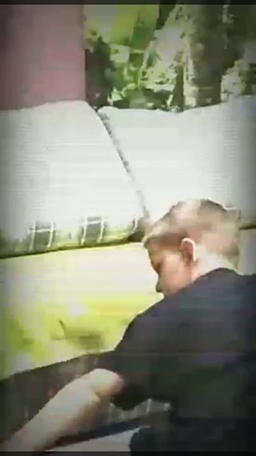 Ушу́ (кит. трад. 武術, упр. 武术, пиньинь: Wǔshù) смотреть онлайн