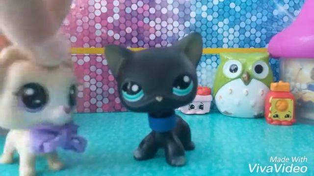 LPS: Коллекция кошек. 1 смотреть онлайн