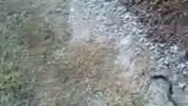 Как звали змею смотреть онлайн