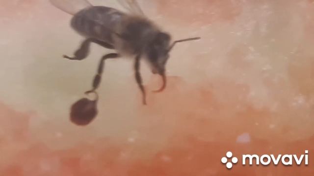 Удивительный мир смотреть онлайн