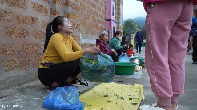 Harvest green vegetables goes to the market sell - Grow ginger | Ly Thi Tam смотреть онлайн