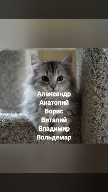 Именины 7 февраля