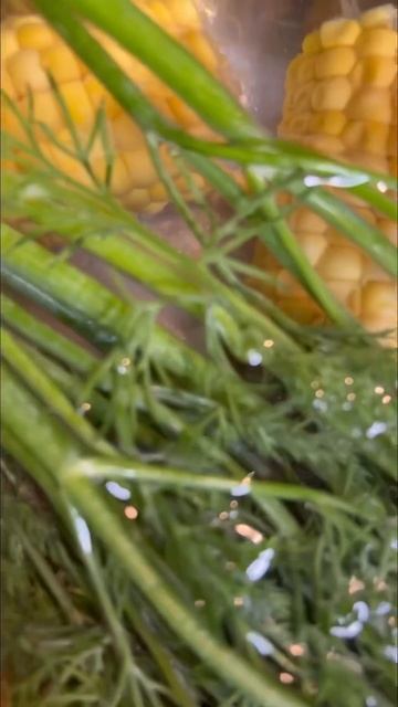 Рубрика «Люблю готовить». Закуска к новогоднему столу.#ИльнатФархуллин #ILNAT смотреть онлайн