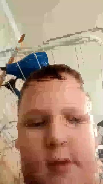 мой питомец