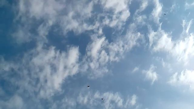 Утренний полет николаевской молодежи 12 06 2018 года смотреть онлайн