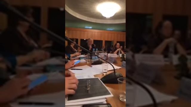 Круглый стол по отказу от новорожденных. Говорит протоиерей Дмитрий Смирнов смотреть онлайн