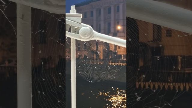 Львиный мост, Канал Грибоедова, Санкт-Петербург смотреть онлайн