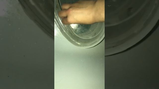 Уборка у улиток) смотреть онлайн