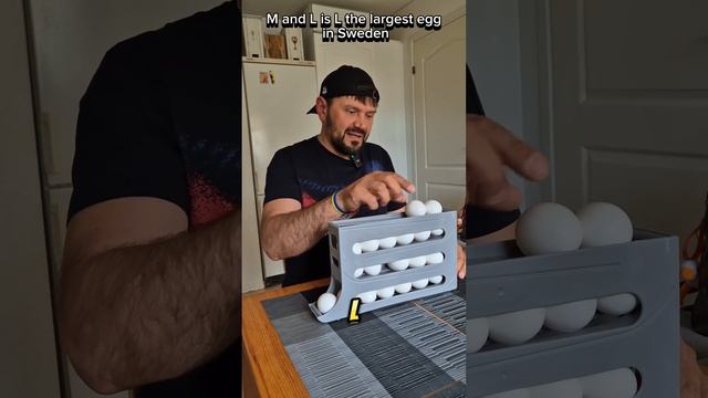 Крутая подставка для яиц с автоматической подачей смотреть онлайн