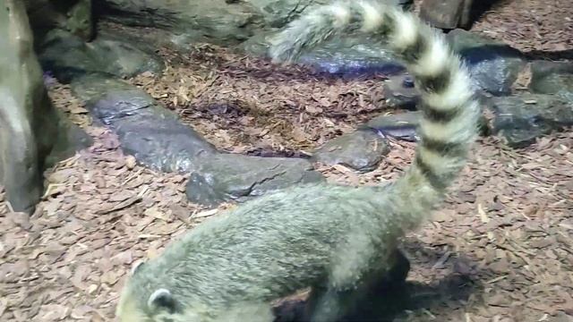 Океанариум 8 смотреть онлайн