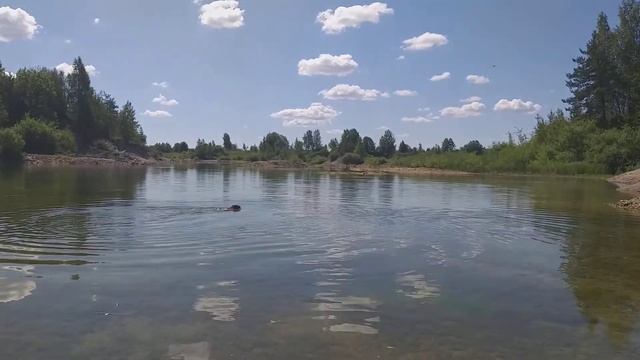 Плавания)))) смотреть онлайн