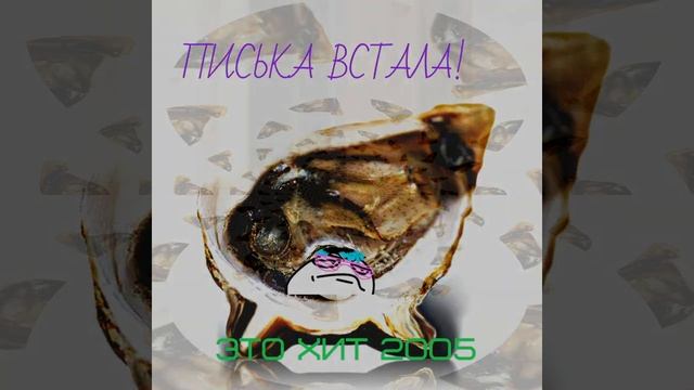 SaNDaL-Писька встала, это хит 2005! смотреть онлайн