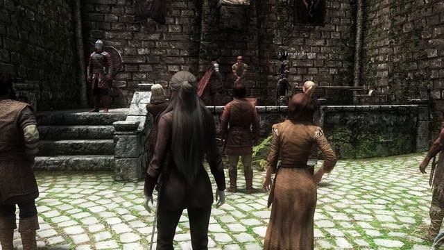 Skyrim (modded) Goof: Ruining someone's public execution experience смотреть онлайн