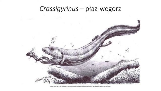 Najdziwniejsze wymarłe zwierzęta – dr Daniel Tyborowski смотреть онлайн