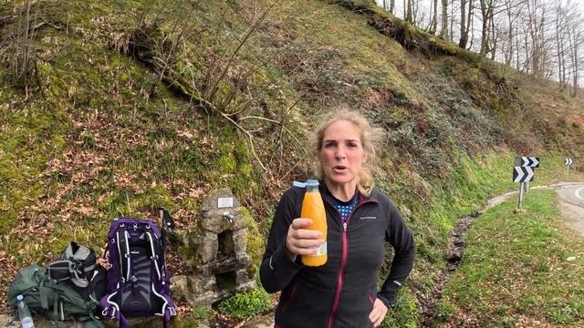 Camino de Santiago Day1, 25km Saint-Jean-Pied-de-Port to Roncesvalles 🇫🇷 🇪🇸 France to Spain смотреть онлайн