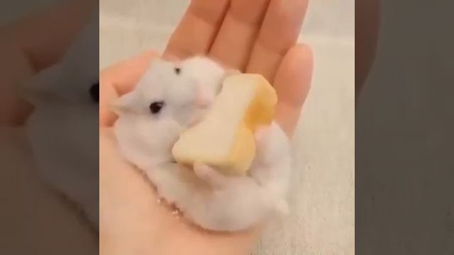 This is how I want to live my life смотреть онлайн