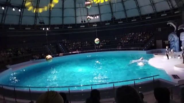 Выступление Новосибирск (2) смотреть онлайн