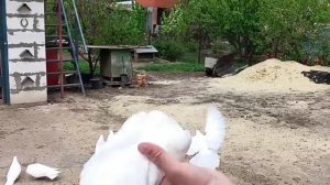 Хобби длинною в жизнь!!!