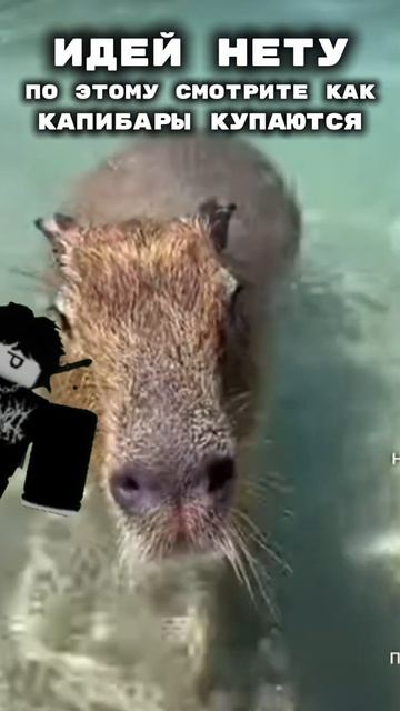 Не переживайте видео будут) смотреть онлайн
