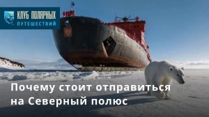 Почему стоит отправиться на Северный полюс?