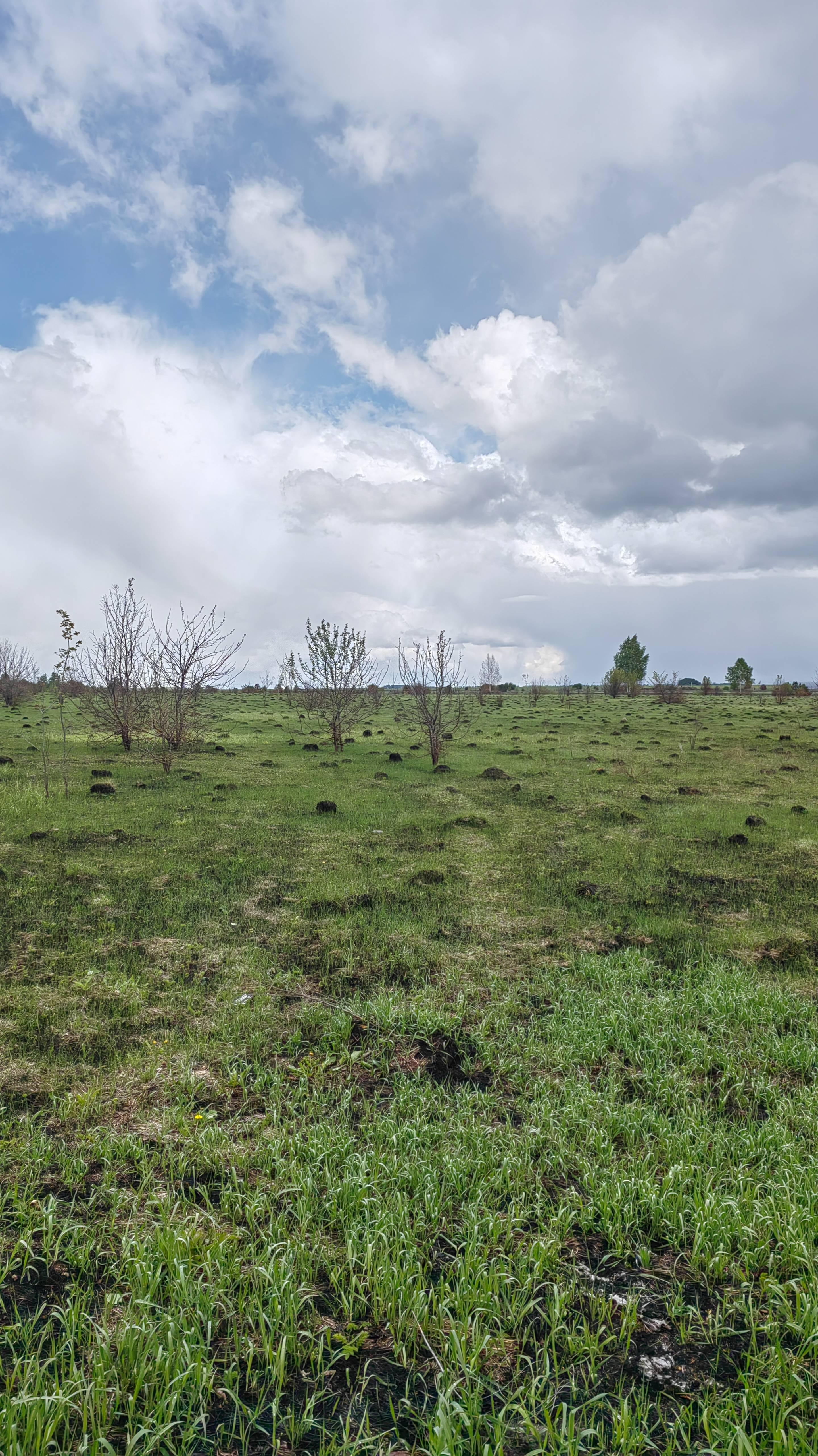 Земельный участок/Рязанская область
