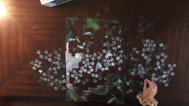 Koalas - Relaxing/Satisfying Time Lapse 500 piece Jigsaw Puzzle смотреть онлайн