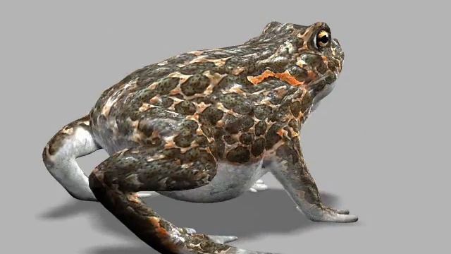 3d models Toad смотреть онлайн