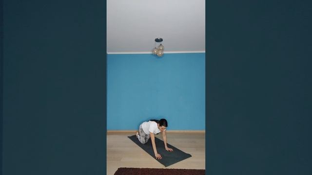 Разминка 07.02.25